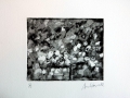 04. Made in America. Copper etch, sans aquatint 10x12cm, 2012.