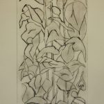 Money plant. 40 x 20,5 cm. Dry needle etch. 2018